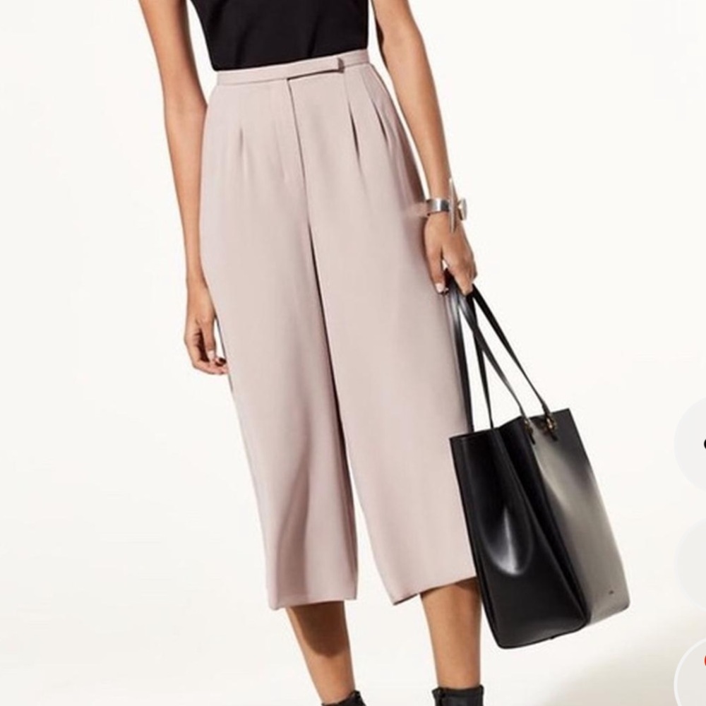 Babaton/Aritzia Women's Navy Blue Culottes size 6